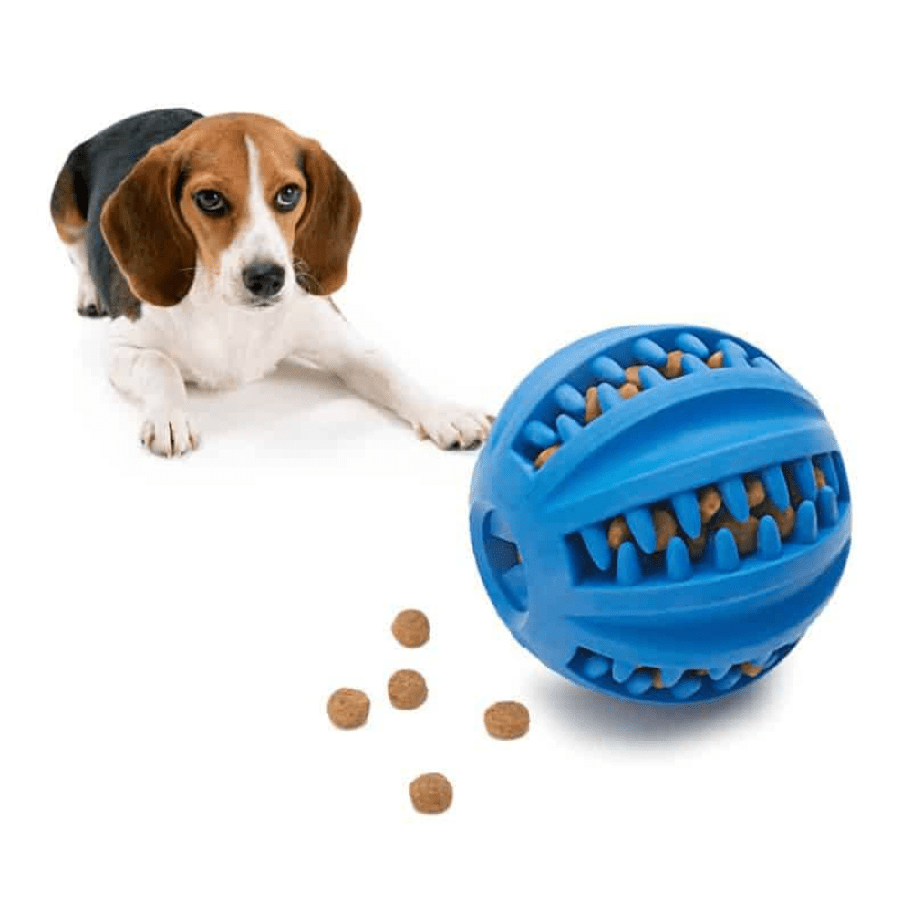 D - YLO Choozy - DoggyloDoggylo1005009268077651 - Dark Blue - S - 5cm