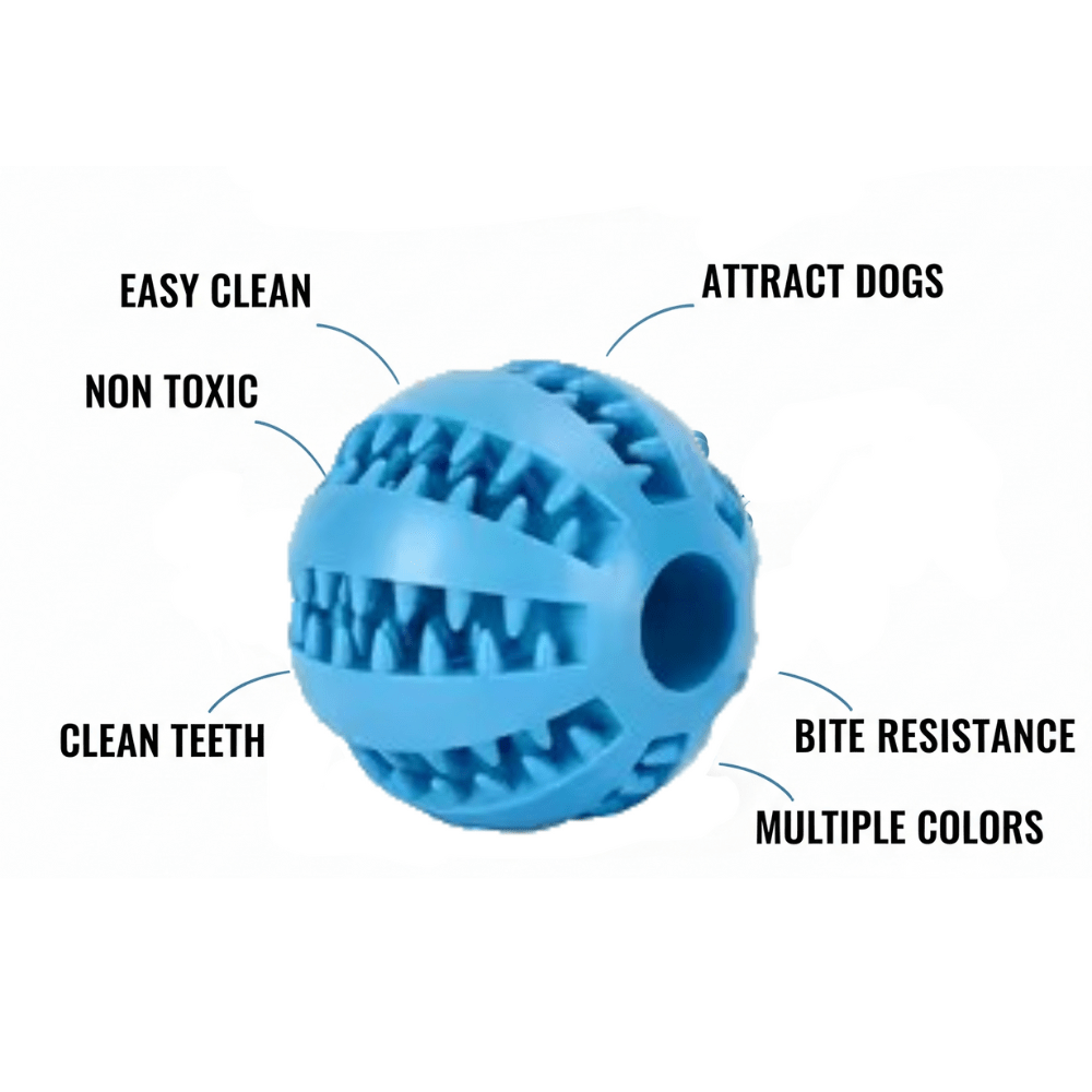 D - YLO Choozy - DoggyloDoggylo1005009268077651 - Dark Blue - S - 5cm