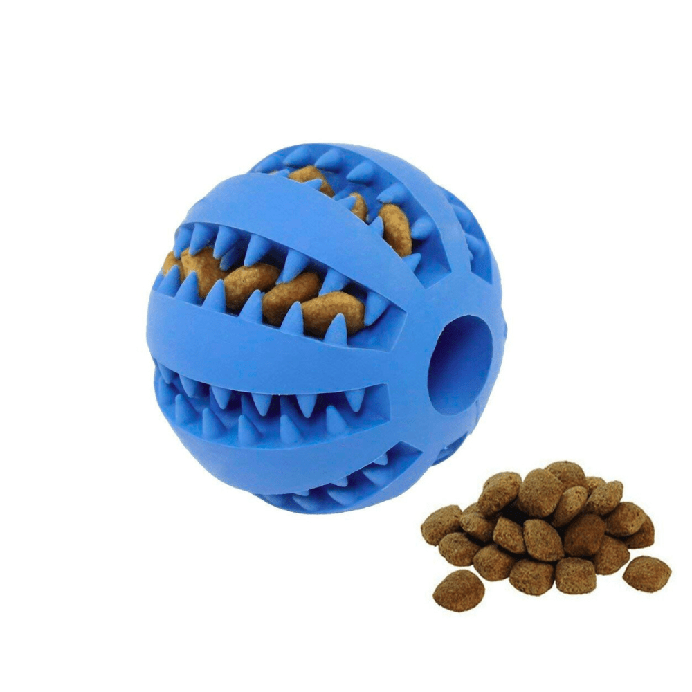 D - YLO Choozy - DoggyloDoggylo1005009268077651 - Dark Blue - S - 5cm