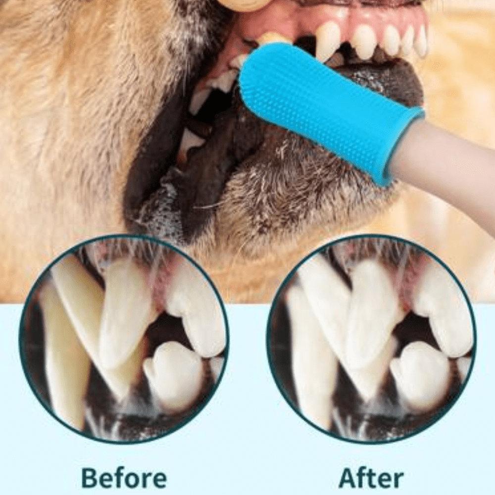 D - YLO Toothy - DoggyloDoggylo14:2000083341pc - blue