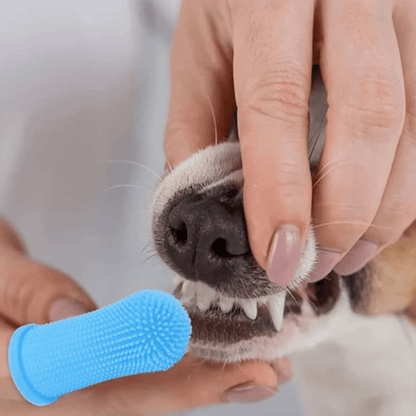 D - YLO Toothy - DoggyloDoggylo14:2000083341pc - blue